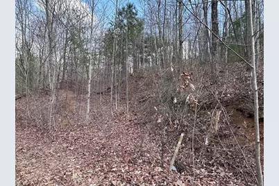 Tbd Pack Mountain Road, Murphy, NC 28906 - Photo 30