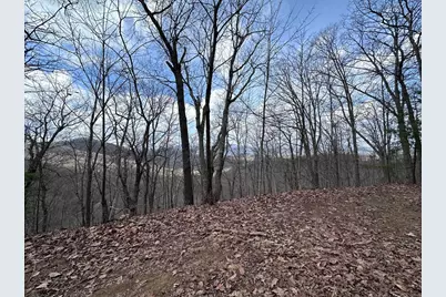 Tbd Pack Mountain Road, Murphy, NC 28906 - Photo 20