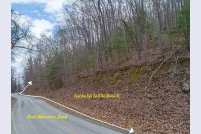 Tbd Pack Mountain Road, Murphy, NC 28906 - Photo 46