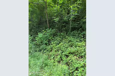 Lot 4 Outlook Road, Murphy, NC 28906 - Photo 2