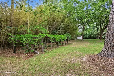2555 Nutbush Road, Henderson, NC 27537 - Photo 26
