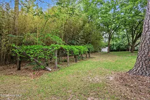 2555 Nutbush Rd, Henderson, NC 27537 - Photo 26