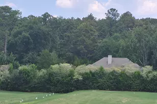 7 Bobolink Rd, Jackson Springs, NC 27281 - Photo 106