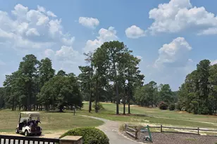 7 Bobolink Rd, Jackson Springs, NC 27281 - Photo 102