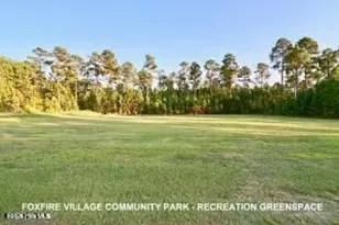 7 Bobolink Rd, Jackson Springs, NC 27281 - Photo 120