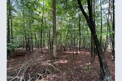 B15 L26 Blair Lane, McCormick, SC 29835 - Photo 4