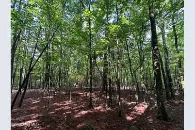 B15 L26 Blair Lane, McCormick, SC 29835 - Photo 6
