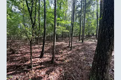 B15 L26 Blair Lane, McCormick, SC 29835 - Photo 10