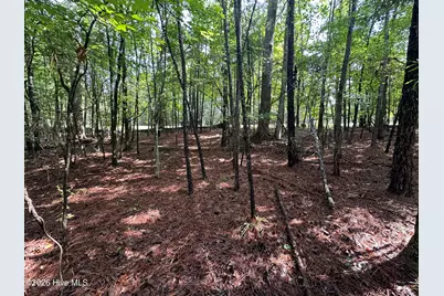 B15 L26 Blair Lane, McCormick, SC 29835 - Photo 8