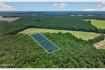 1 Acre Off Laura Hill Drive, Clarkton, NC 28433 - Photo 8