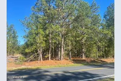 1035 Flowers Road, Jackson Springs, NC 27281 - Photo 1