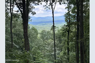 Lot 169 Wilderness Creek Way, Murphy, NC 28906 - Photo 1