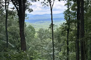 Lot 169 Wilderness Creek Way, Murphy, NC 28906 - Photo 1