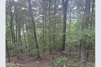 Lot 169 Wilderness Creek Way, Murphy, NC 28906 - Photo 6
