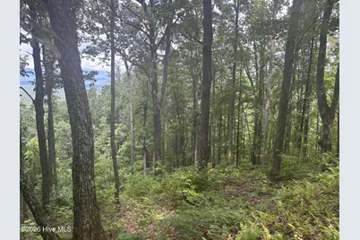 Lot 169 Wilderness Creek Way, Murphy, NC 28906 - Photo 8