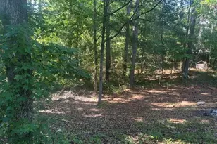 843 Giles Pl NE, Leland, NC 28451 - Photo 6