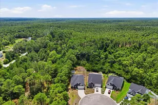 1630 E New Carraway Pl SE, Bolivia, NC 28422 - Photo 66