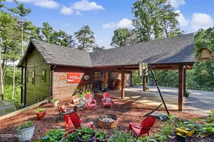 240 Pink Pig Lane, Cherry Log, GA 30522 - Photo 54