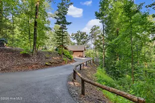 240 Pink Pig Lane, Cherry Log, GA 30522 - Photo 66