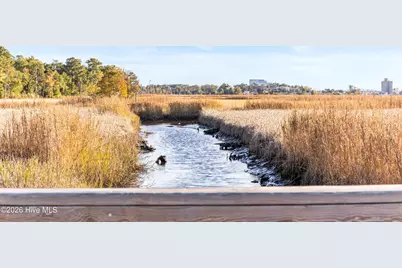 1717 Herons View Drive, Wilmington, NC 28401 - Photo 40