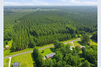 250 Walls Mill Road, Aurora, NC 27806 - Photo 40
