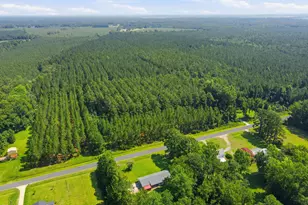 250 Wall's Mill Rd, Aurora, NC 27806 - Photo 40