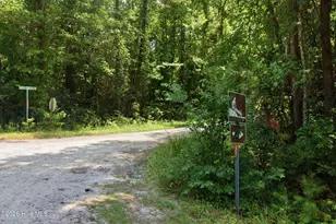 248 Hwy 58 Loop Rd, Maysville, NC 28555 - Photo 28