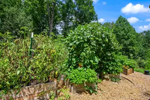 524 Sierra Cir, Murphy, NC 28906 - Photo 84