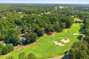 10 Pine Tree Rd, Pinehurst, NC 28374 - Photo 46
