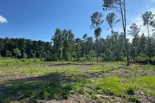 1319 Bill Hooks Rd, Whiteville, NC 28472 - Photo 24