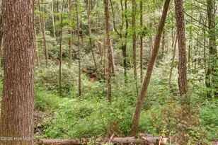 910 Laurel Branch Rd, Murphy, NC 28906 - Photo 18
