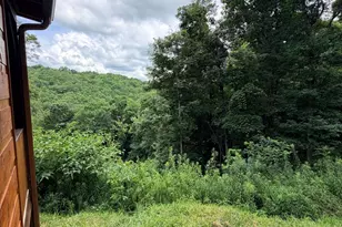 371 Black Bear Trl, Topton, NC 28781 - Photo 34