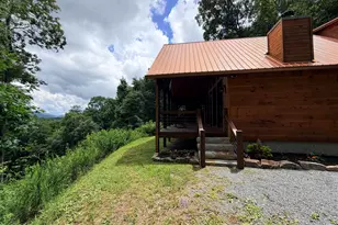 371 Black Bear Trl, Topton, NC 28781 - Photo 38