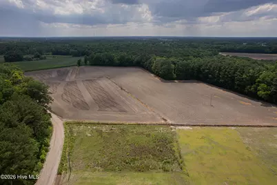 1770 Old Chinquapin Road, Beulaville, NC 28518 - Photo 4