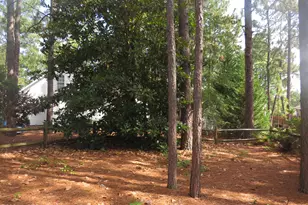 16 Cameron Ln, Pinehurst, NC 28374 - Photo 38
