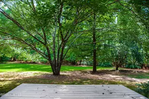 6768 Cobbham Rd, Appling, GA 30802 - Photo 42