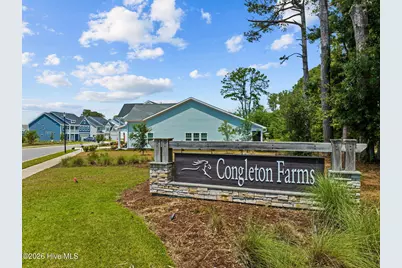 6036 Meadowgrove Loop, Wilmington, NC 28409 - Photo 44