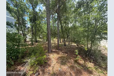 918 Old Dow Road, Carolina Beach, NC 28428 - Photo 2