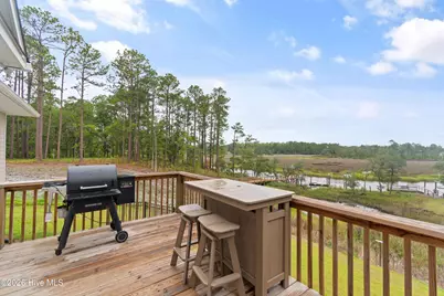 417 Lightwood Lane, Shallotte, NC 28470 - Photo 40