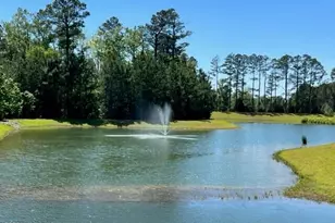 1534 W White Egret Ln NE, Bolivia, NC 28422 - Photo 24