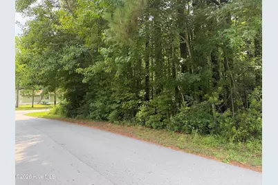 919 Mandarin Trail, Jacksonville, NC 28540 - Photo 2
