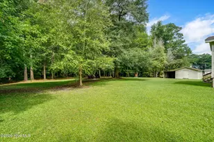 146 Chicken Neck Rd, Teachey, NC 28464 - Photo 20