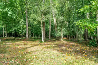 146 Chicken Neck Road, Teachey, NC 28464 - Photo 24
