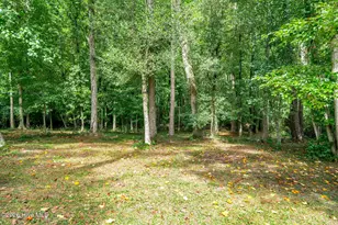 146 Chicken Neck Rd, Teachey, NC 28464 - Photo 24