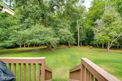 146 Chicken Neck Road, Teachey, NC 28464 - Photo 18