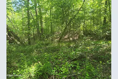 234 Circle Drive, Vass, NC 28394 - Photo 2