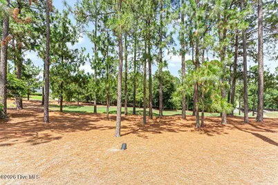 103 E Chelsea Court, Southern Pines, NC 28387 - Photo 36