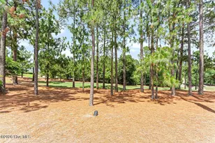 103 E Chelsea Ct, Southern Pines, NC 28387 - Photo 36
