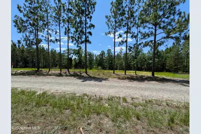 270 Charles Road, Eagle Springs, NC 27242 - Photo 4