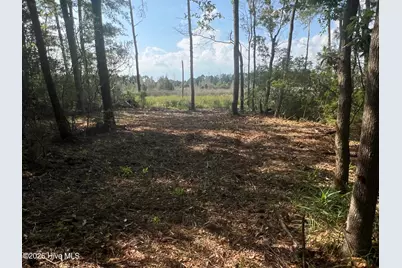 Lot 4 Cedar Lane, Belhaven, NC 27810 - Photo 10